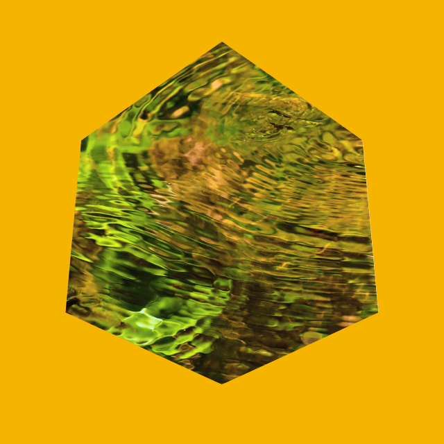 Testimonial Image